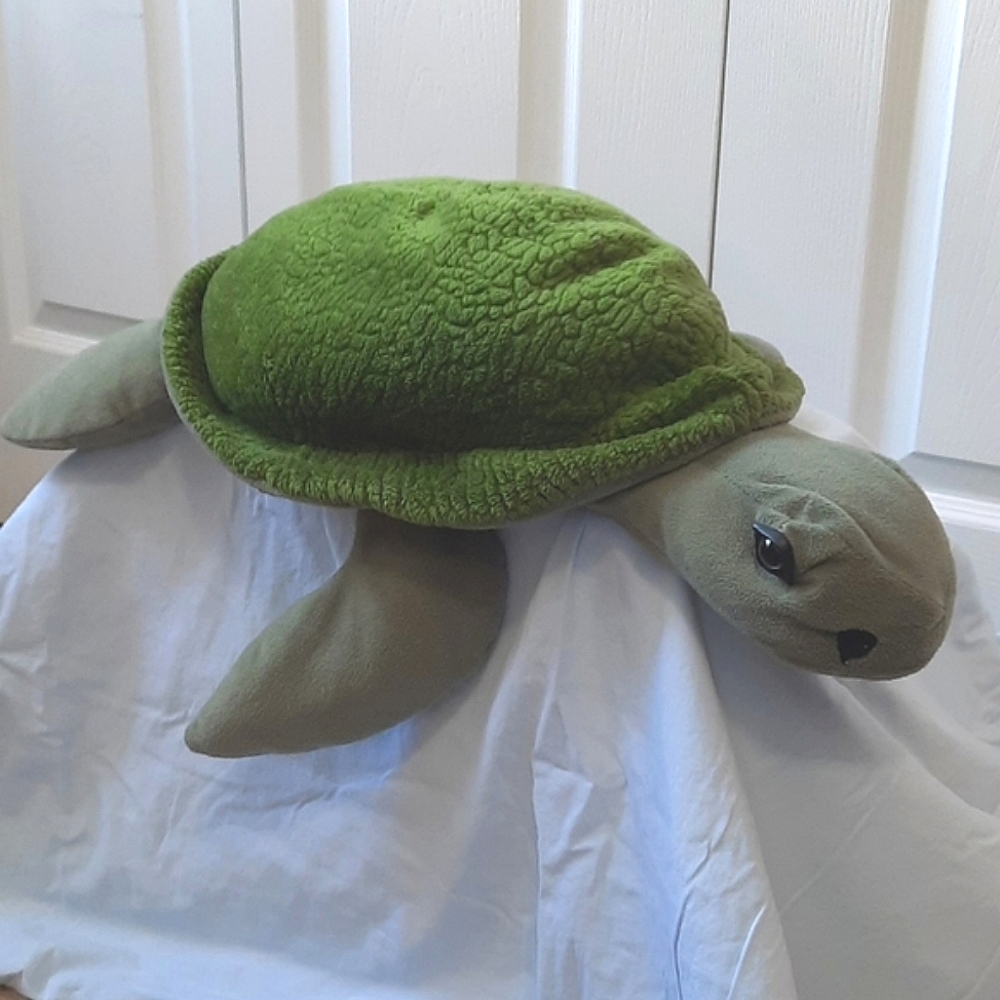 Green Sea Turtle